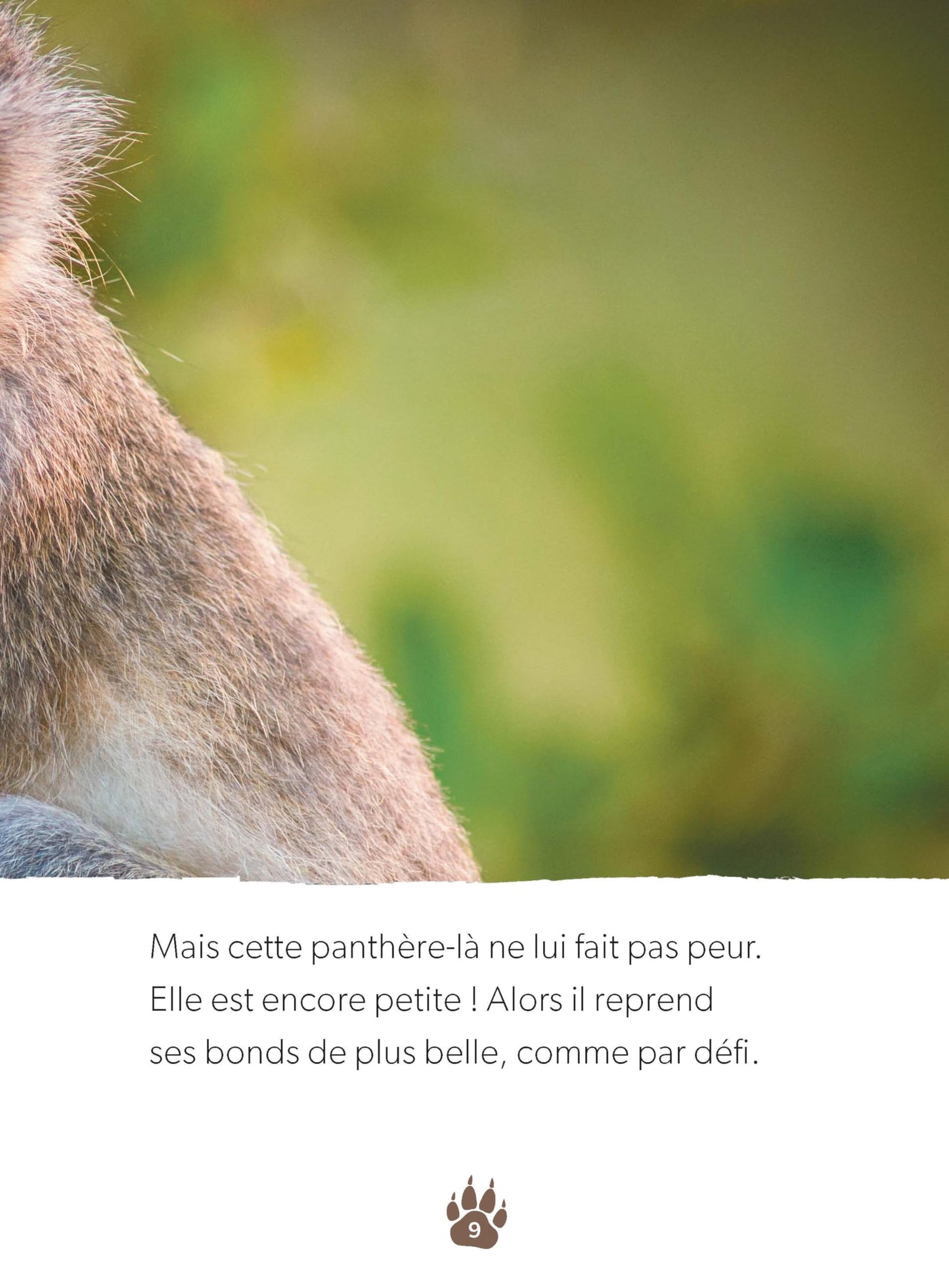 Une petite panthère acrobate