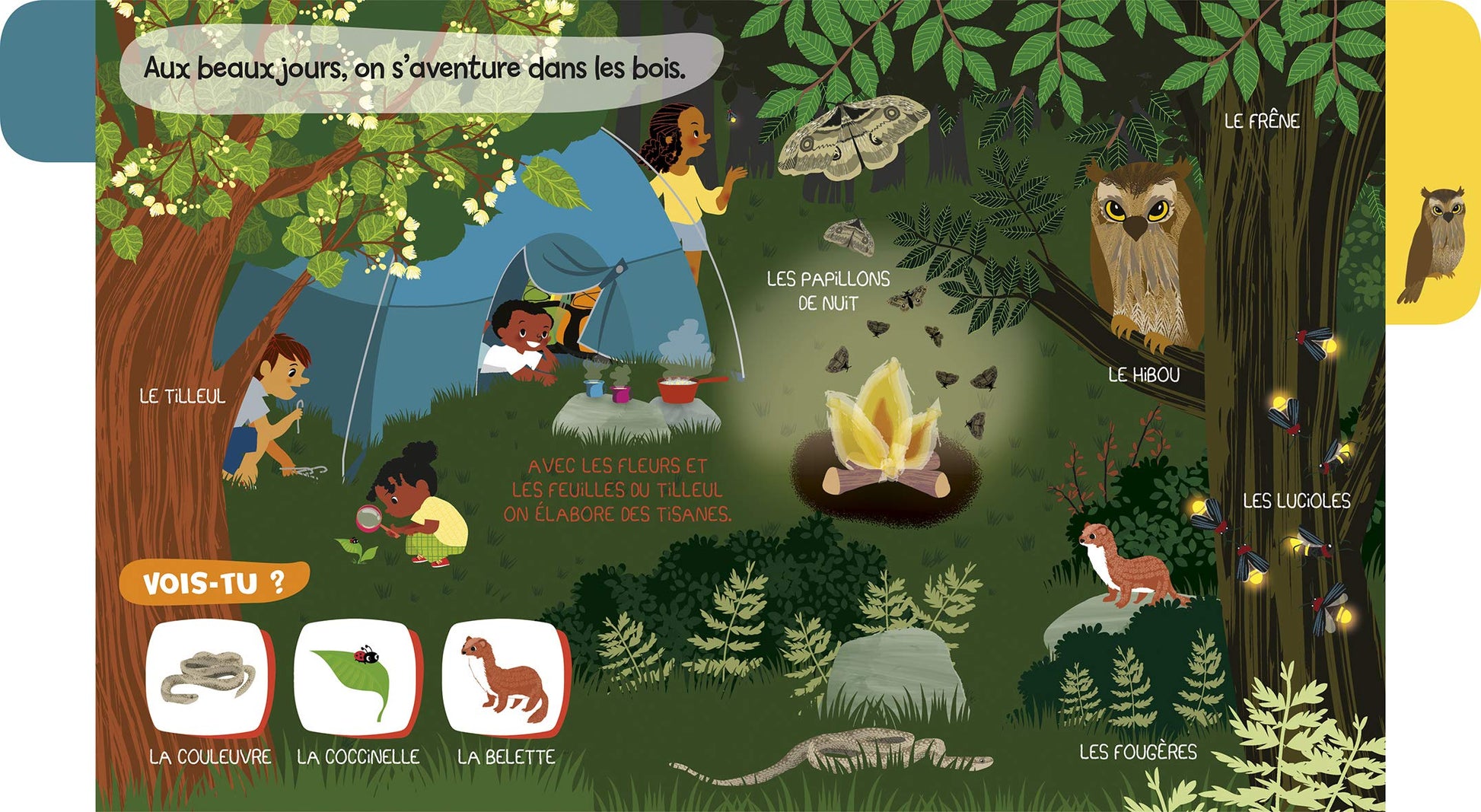 Baby doc : La forêt – Documentaire sonore avec 6 puces – À partir de 6 mois