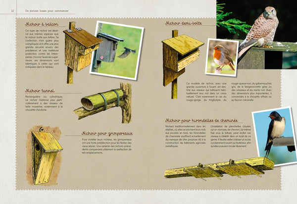 Un jardin pour les oiseaux