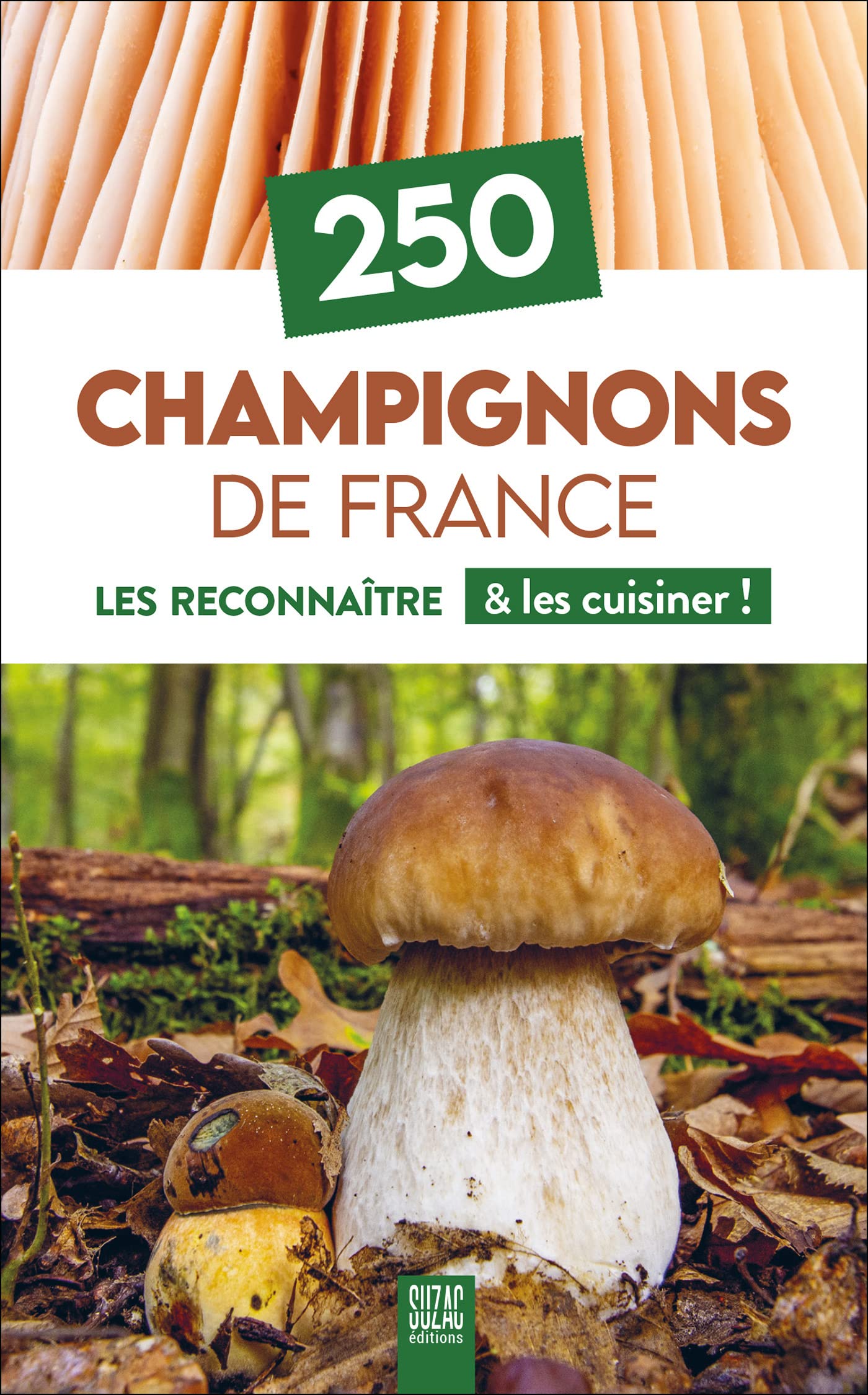 250 Champignons de France: Les reconnaître & les cuisiner