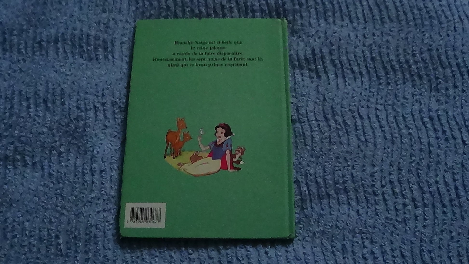 Blanche-neige et les 7 nains