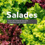 Salades - Tous les types de salades & comment les cultiver