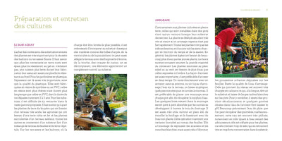 Fleurs en pots pour balcons et terrasses