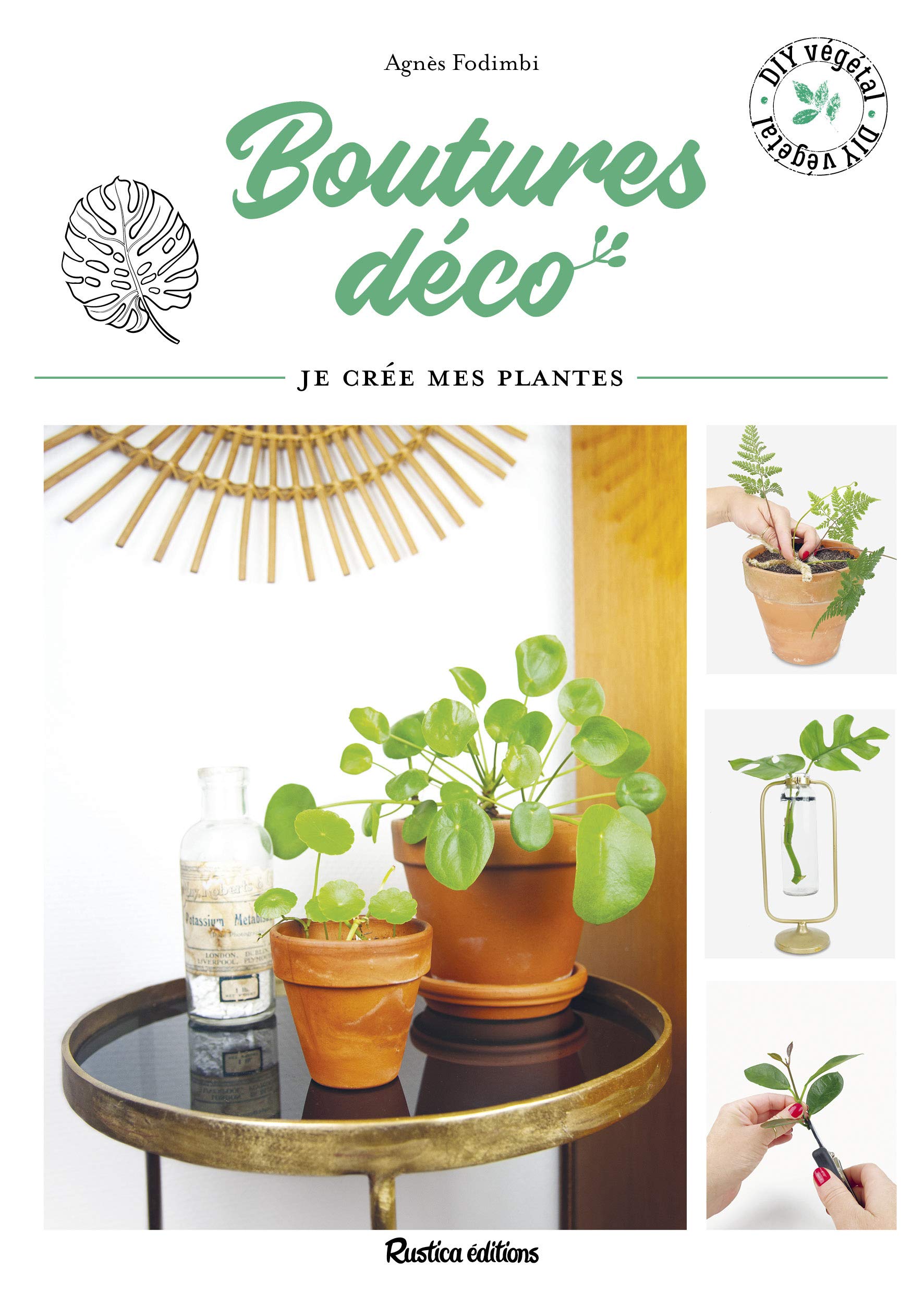 Boutures déco: Je crée mes plantes