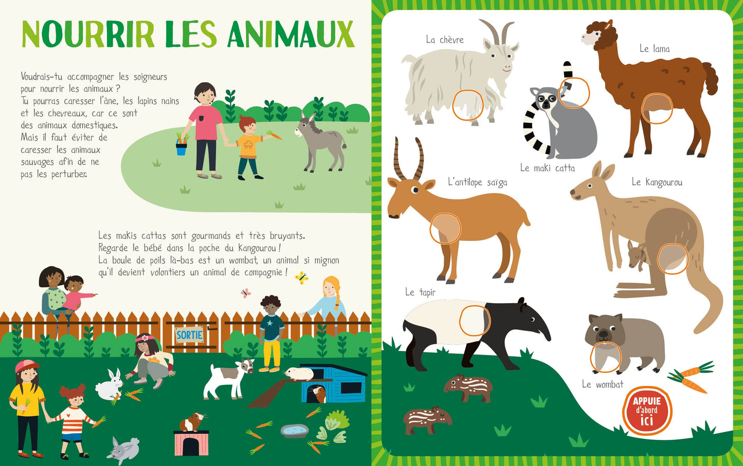 MON LIVRE SONORE - LE ZOO