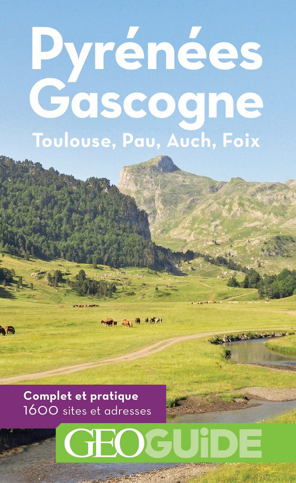 Pyrénées Gascogne: Toulouse, Pau, Auch, Foix