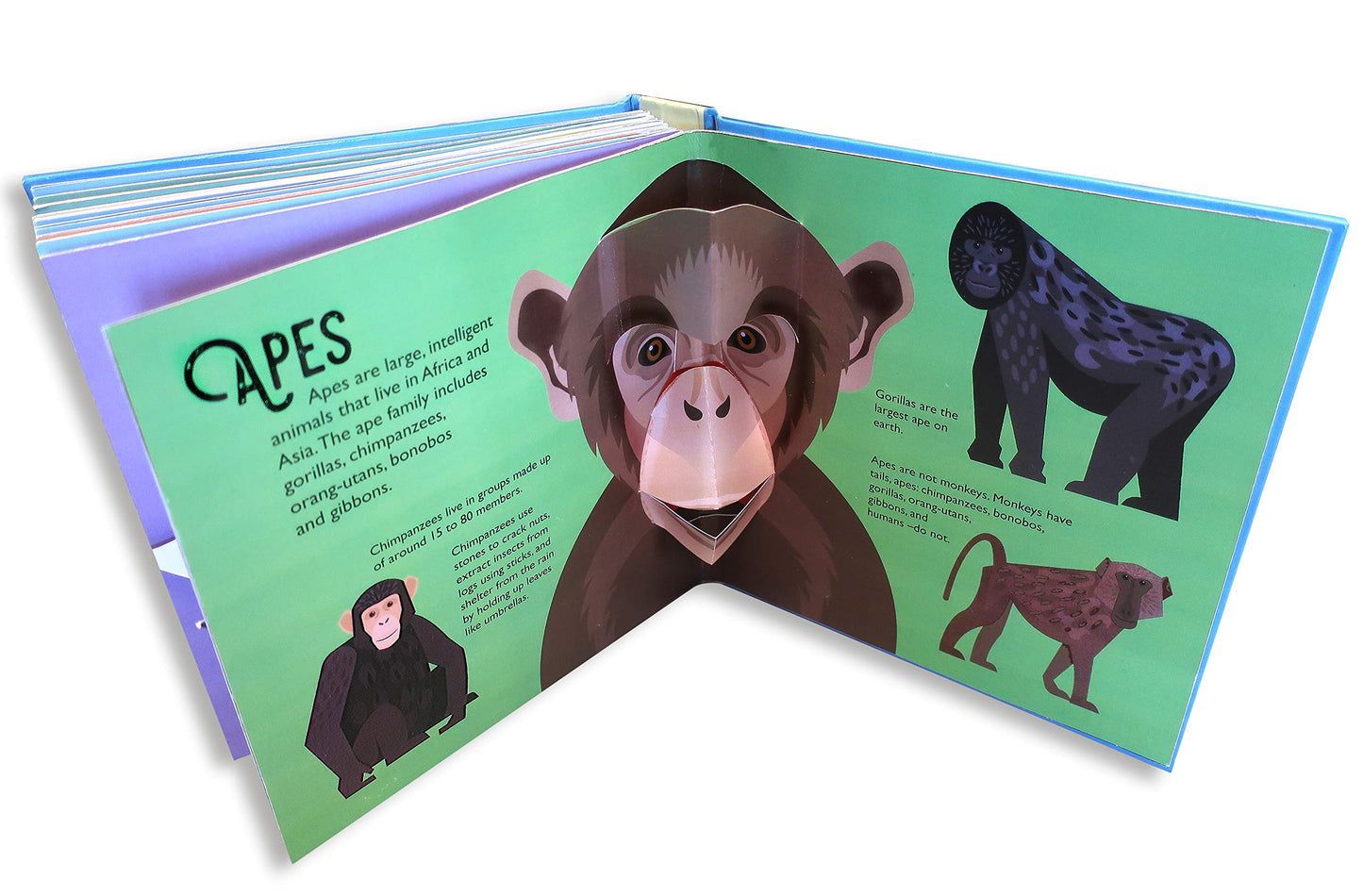 Animaux sauvages
