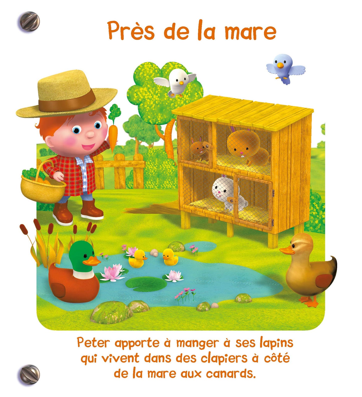 L'imagier de la ferme- P'tit Garçon