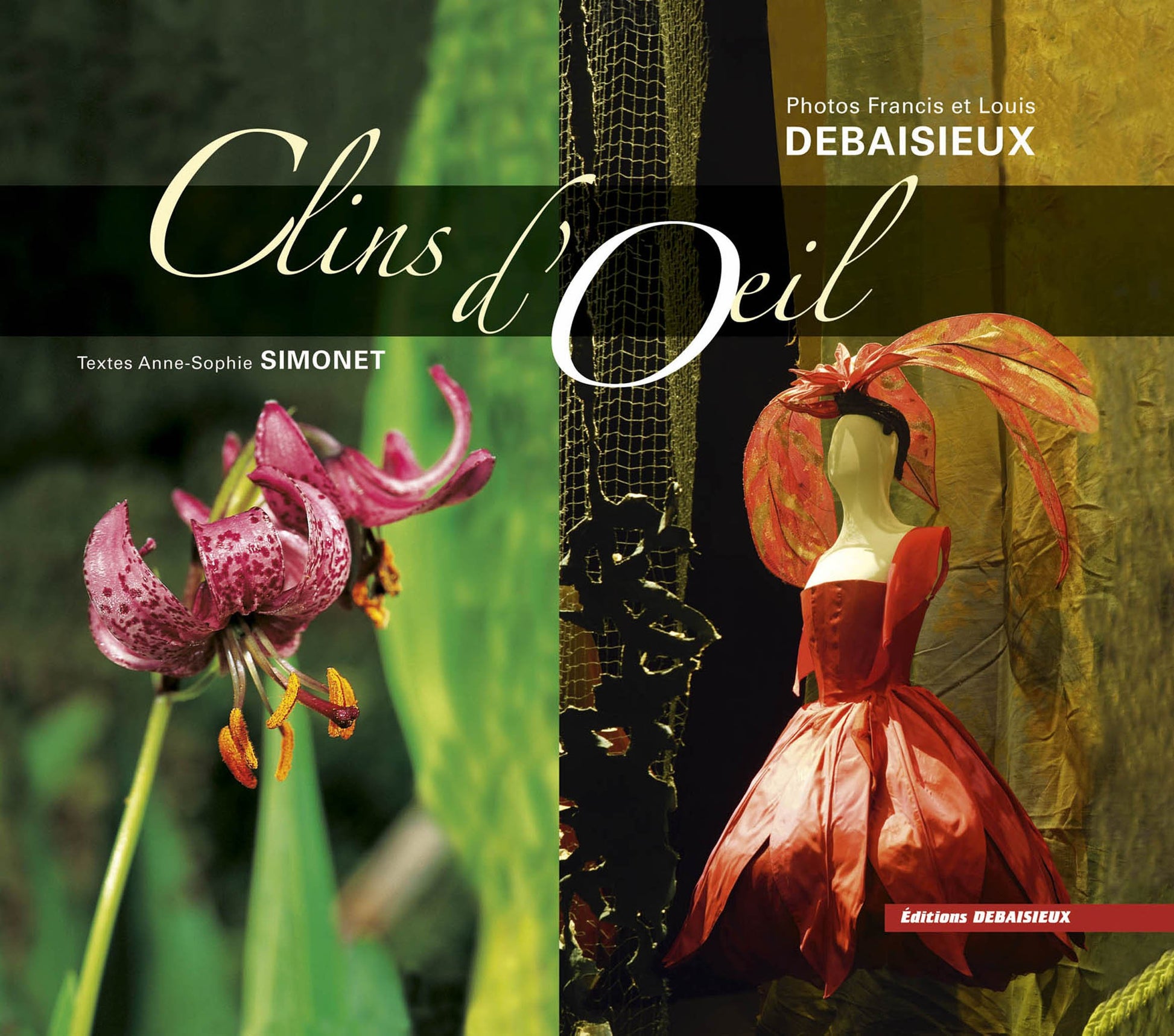 Clins d'oeil en Massif Central