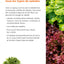 Salades - Tous les types de salades & comment les cultiver