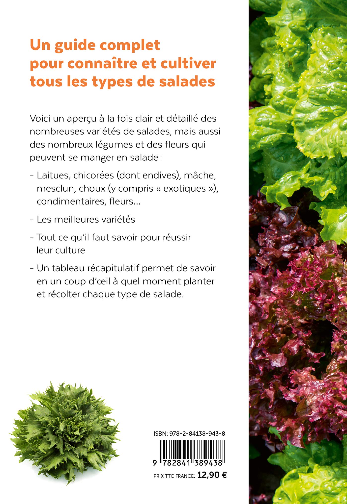 Salades - Tous les types de salades & comment les cultiver