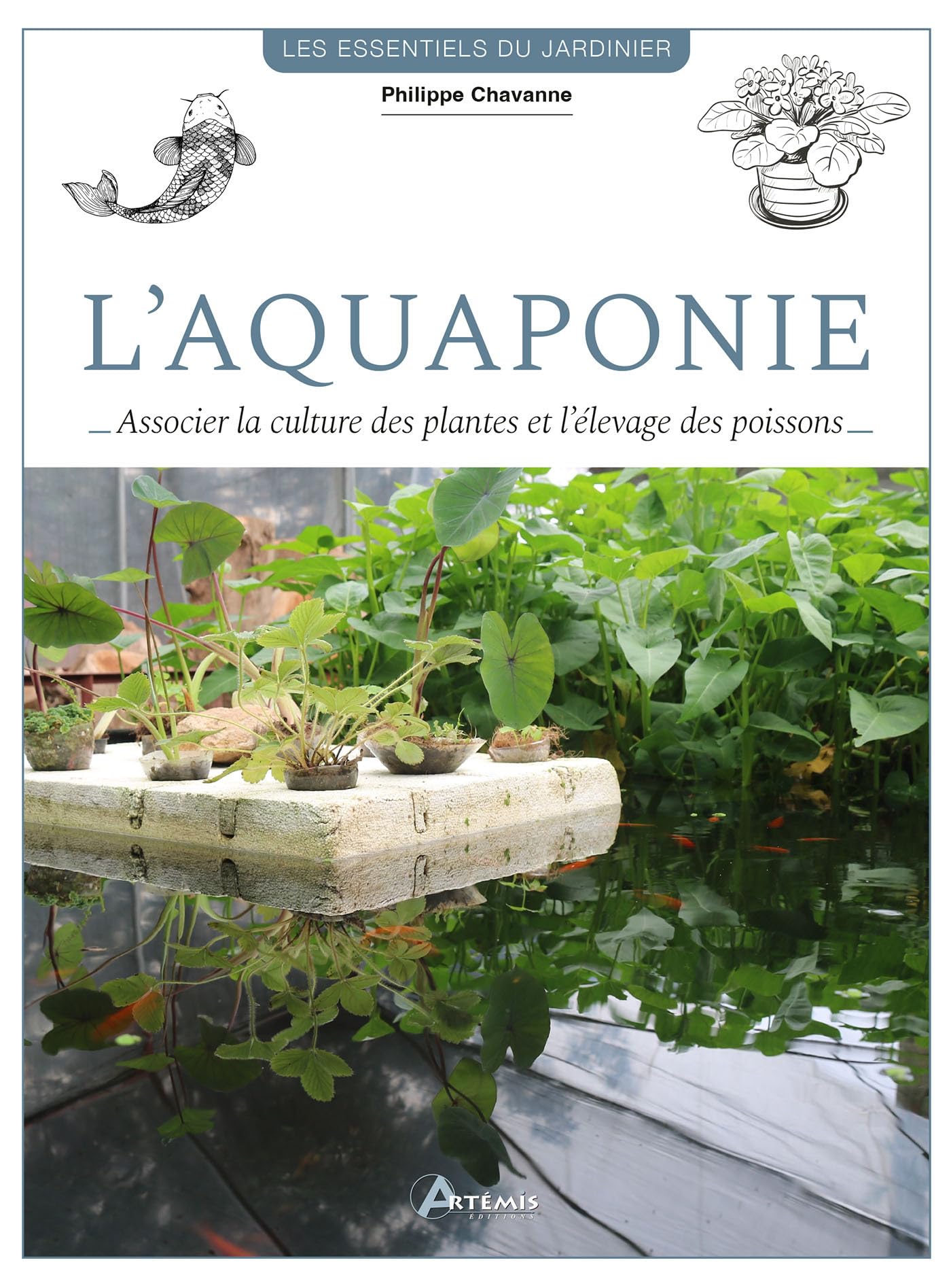 L'aquaponie: Associer la culture des plantes et l'élevage des poissons