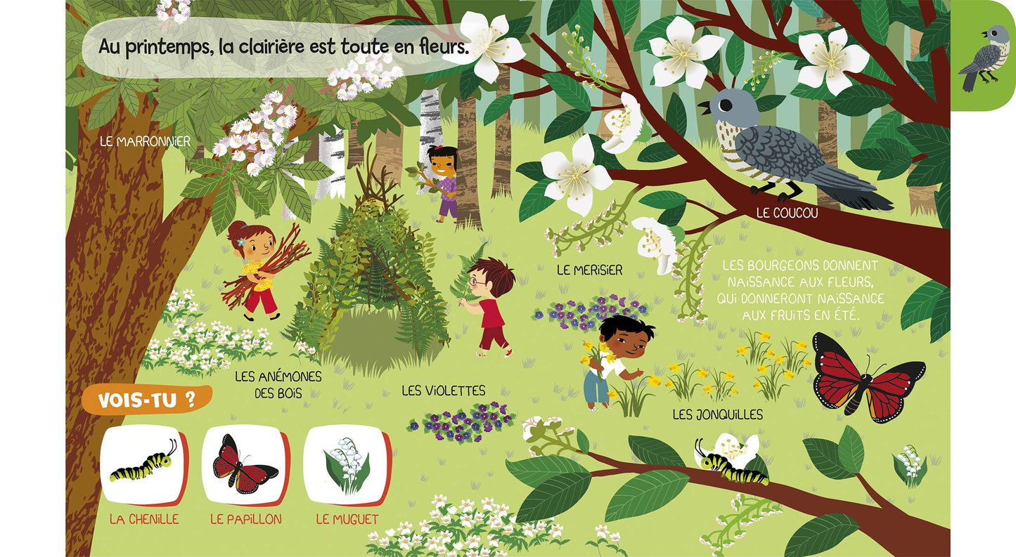 Baby doc : La forêt – Documentaire sonore avec 6 puces – À partir de 6 mois