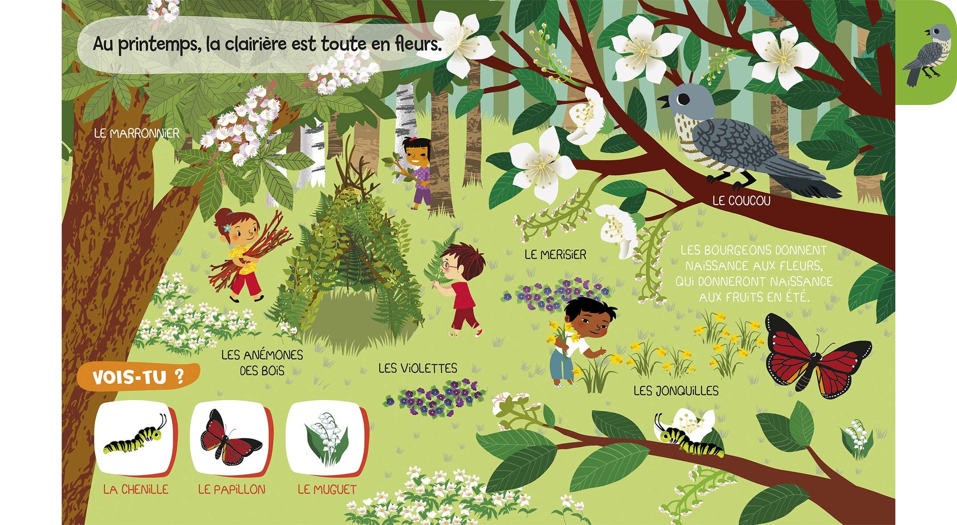 Baby doc : La forêt – Documentaire sonore avec 6 puces – À partir de 6 mois
