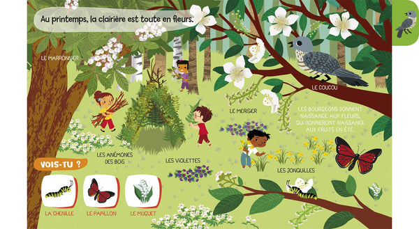 Baby doc : La forêt – Documentaire sonore avec 6 puces – À partir de 6 mois