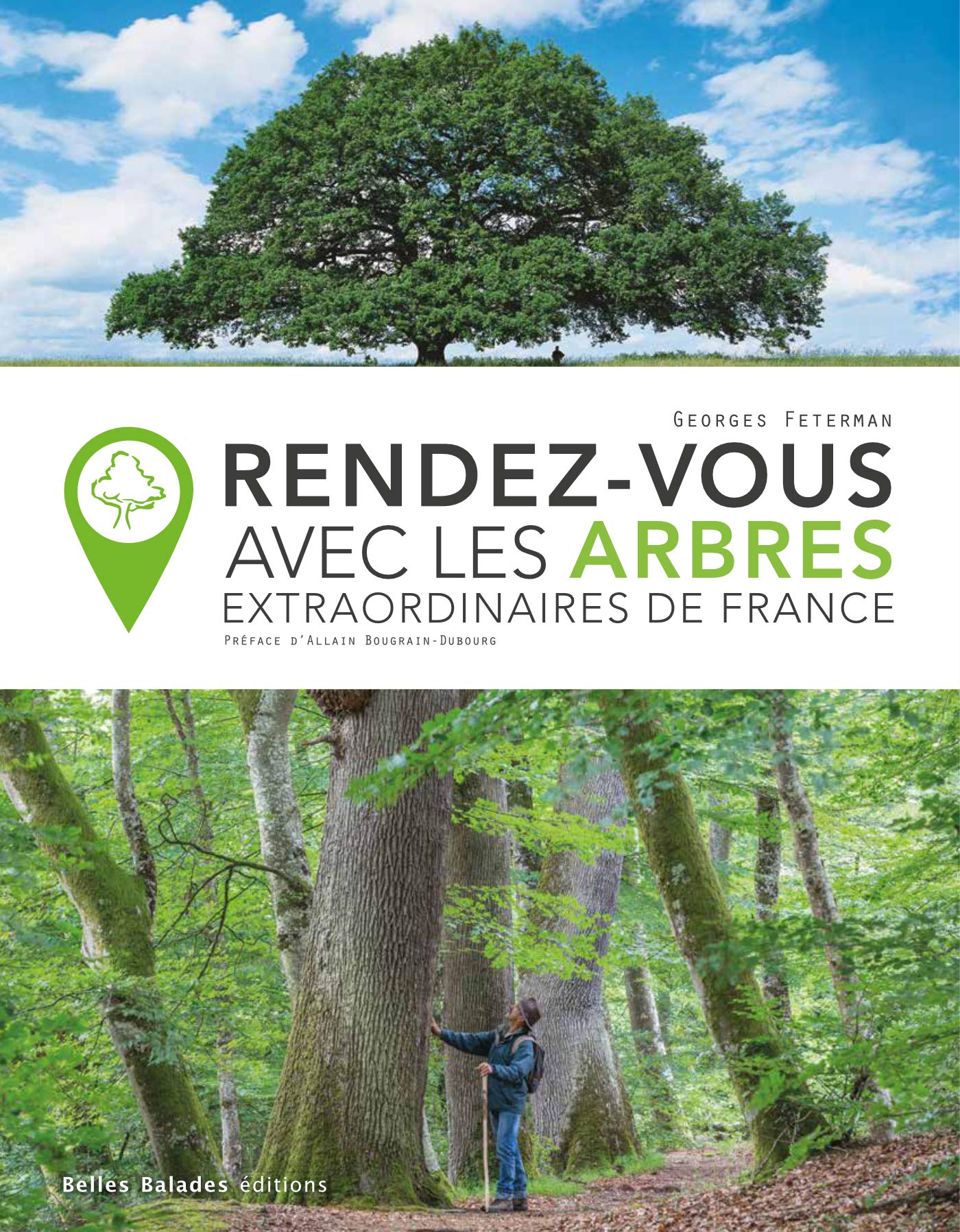 Rendez-vous avec les arbres