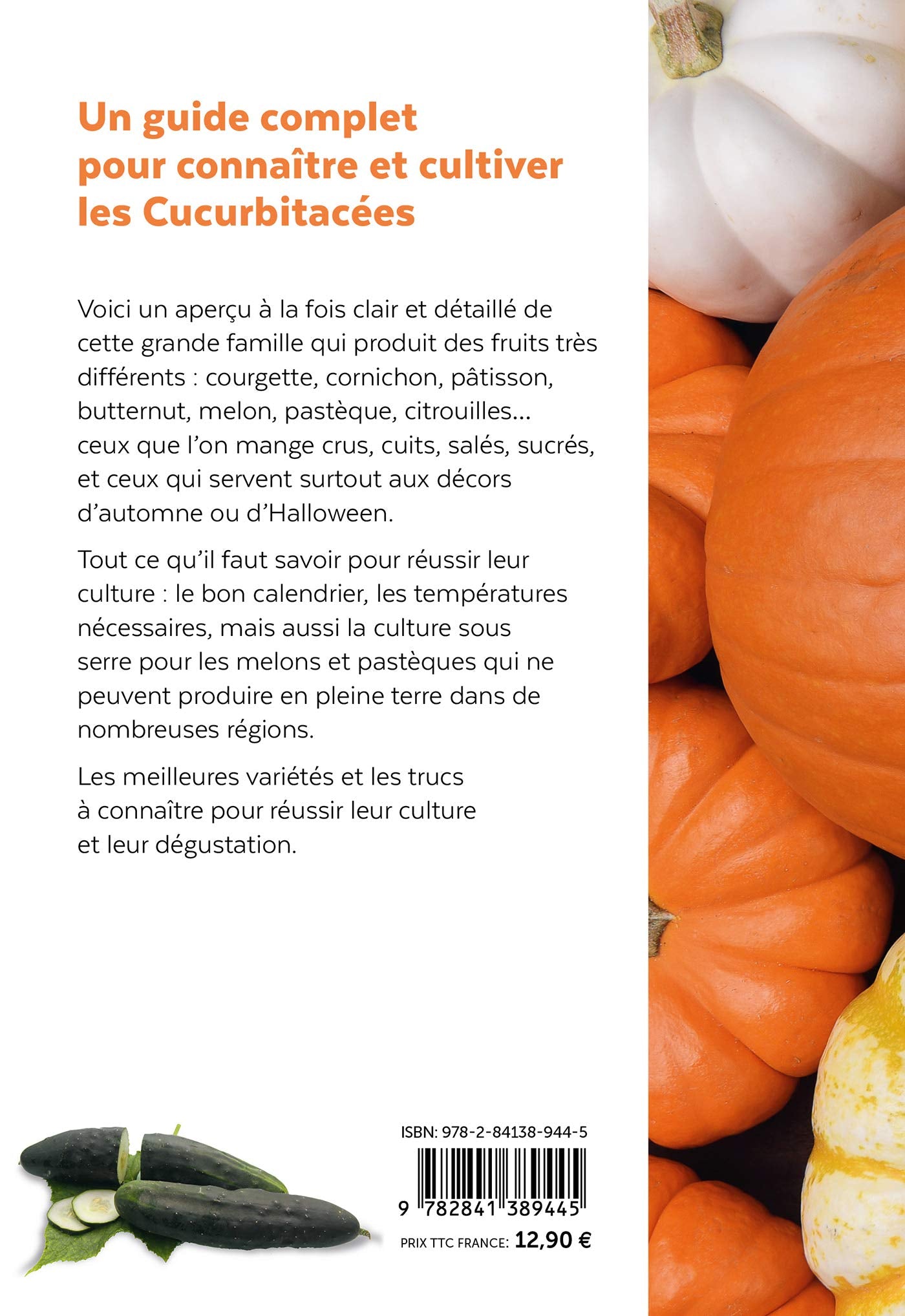 Courges, melons, concombres, etc. - Les cucurbitacées & comment les cultiver