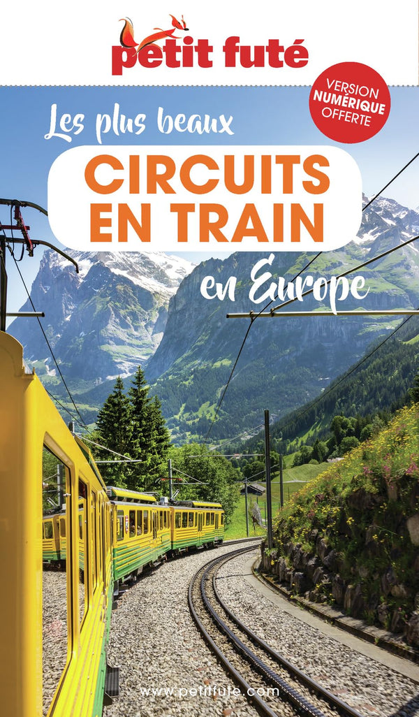 Guide Les Plus Beaux Circuits En Train En Europe 2023 Petit Futé (2023)