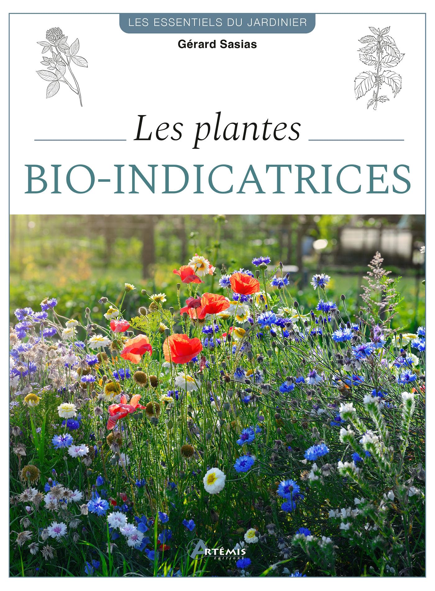 Les plantes bio-indicatrices: Optimiser votre terrain grâce aux plantes