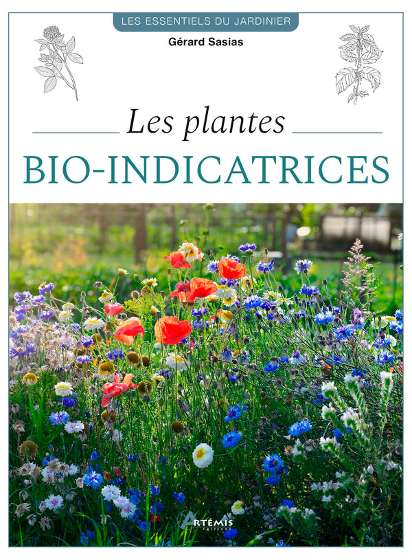 Les plantes bio-indicatrices: Optimiser votre terrain grâce aux plantes