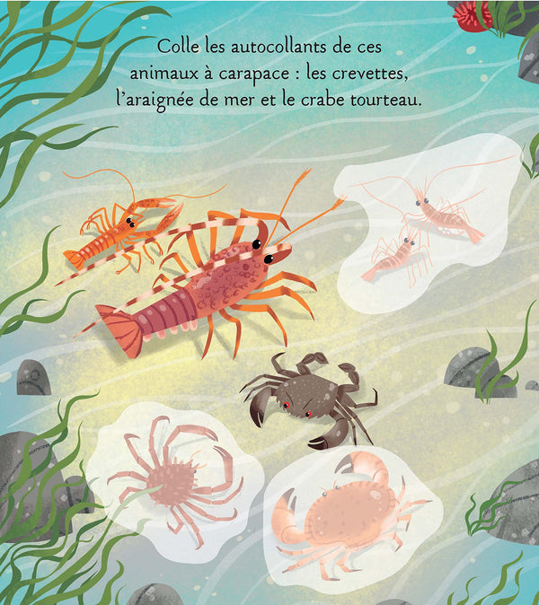 Les animaux de la mer
