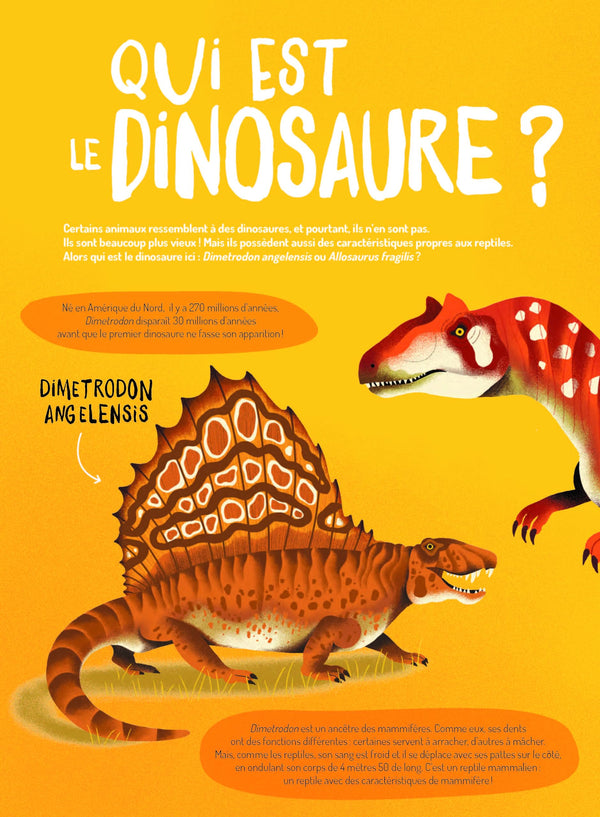 Dinosaures. 15 face-à-face incroyables !