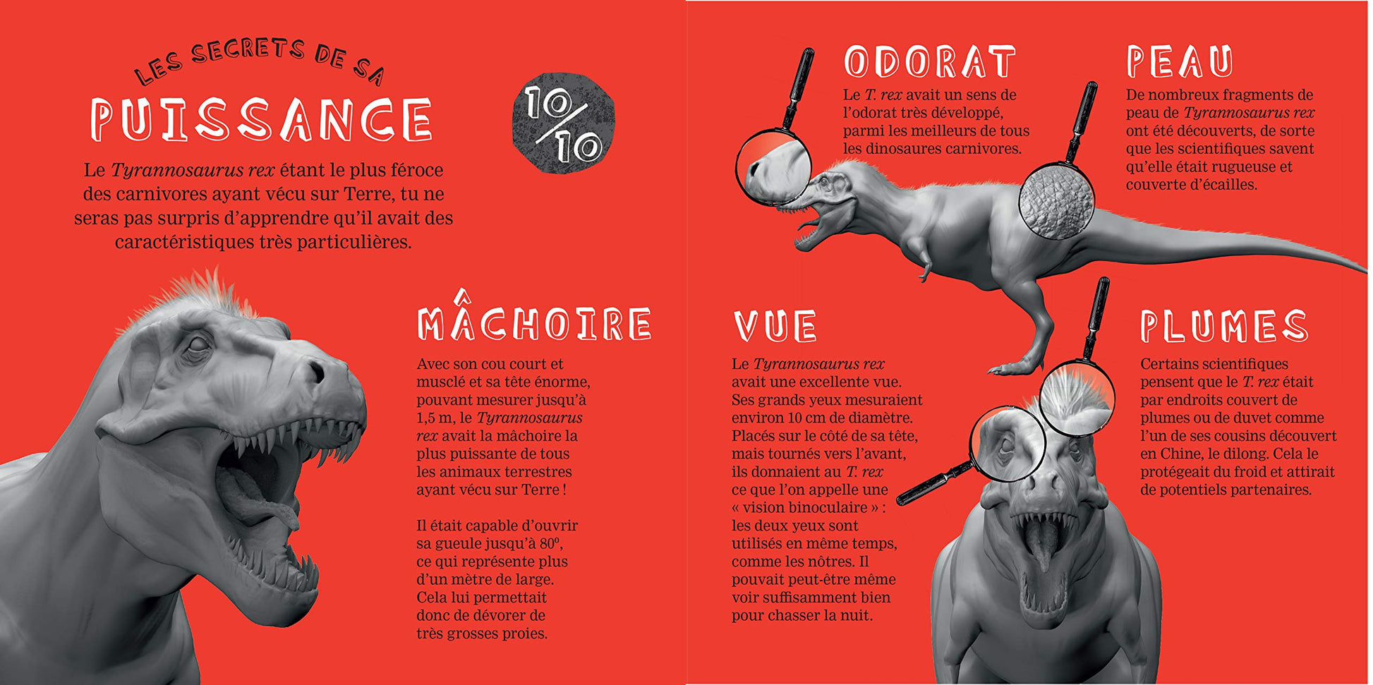 Crée ton T-Rex en 3D ! : Coffret avec 1 maquette et 1 livre de 32 pages pour tout savoir sur le T.Rex