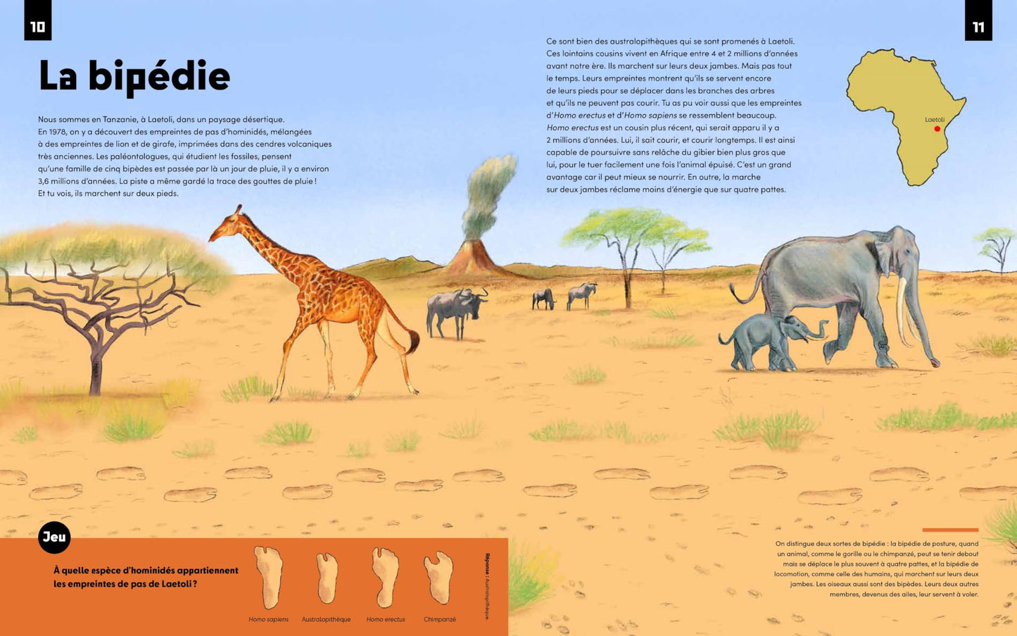 Homo sapiens, qui sommes-nous ?