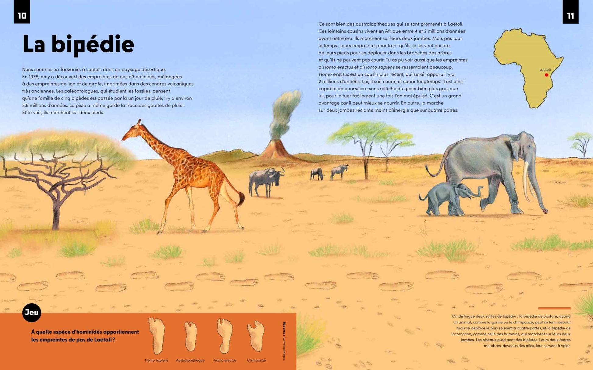 Homo sapiens, qui sommes-nous ?