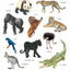 LES ANIMAUX SAUVAGES