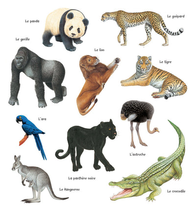 LES ANIMAUX SAUVAGES