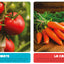 Mon premier doc - mes premiers aliments