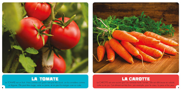 Mon premier doc - mes premiers aliments