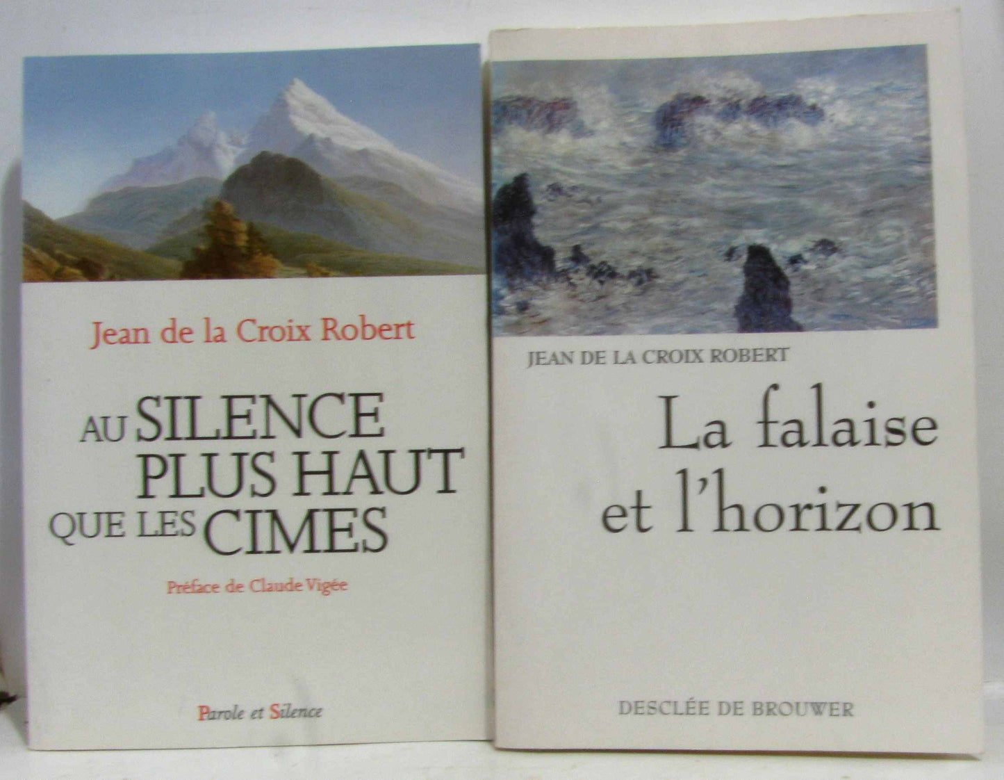 au silence plus haut que les cimes (0)