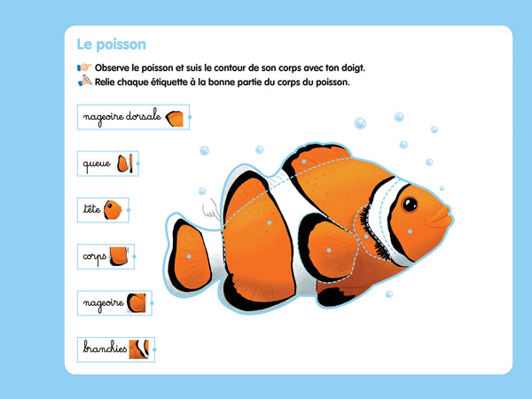 Les livres-ardoises - Je découvre les animaux Montessori