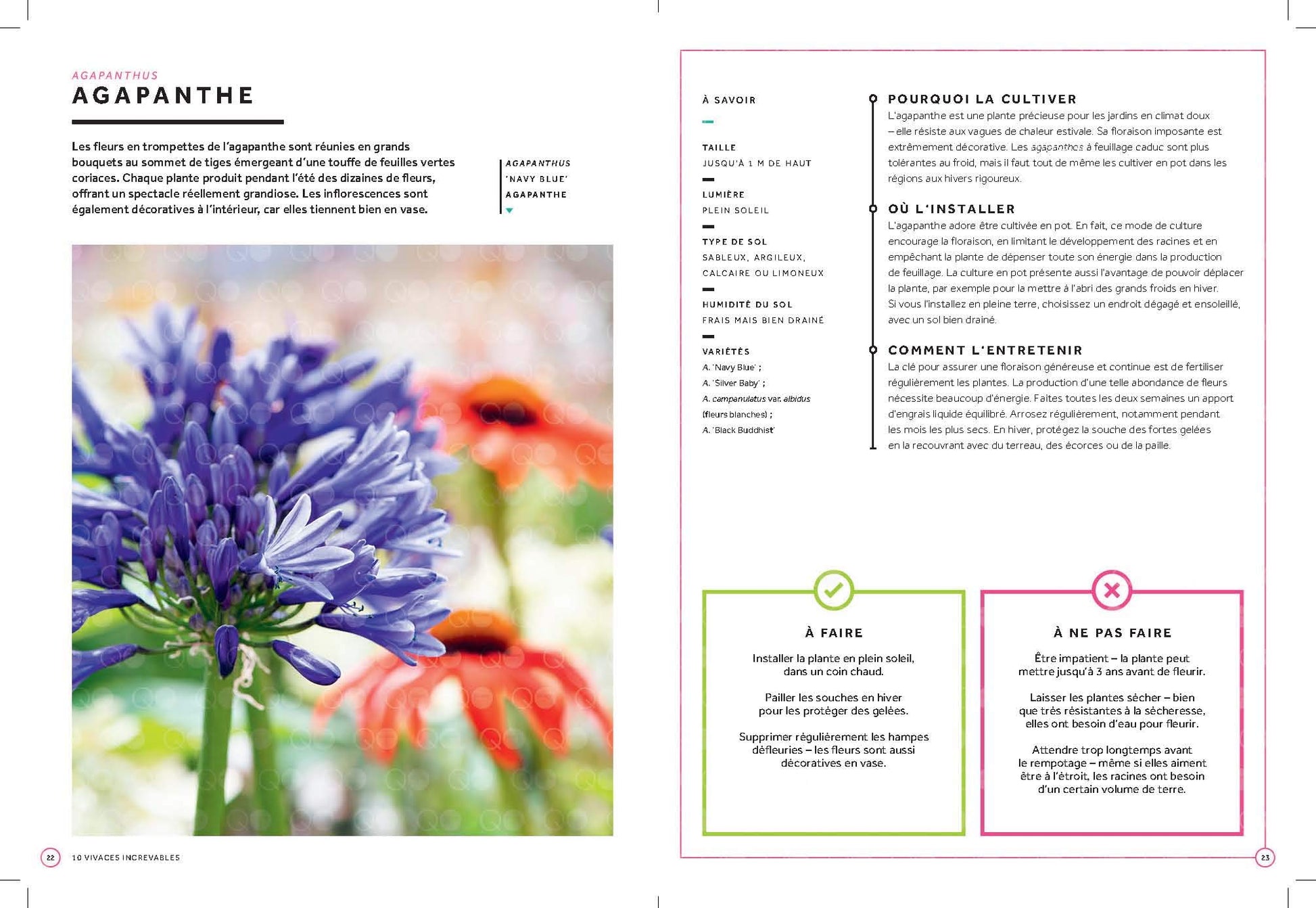 50 plantes pour ceux qui n ont pas la main verte: Maison - Balcon - Jardin