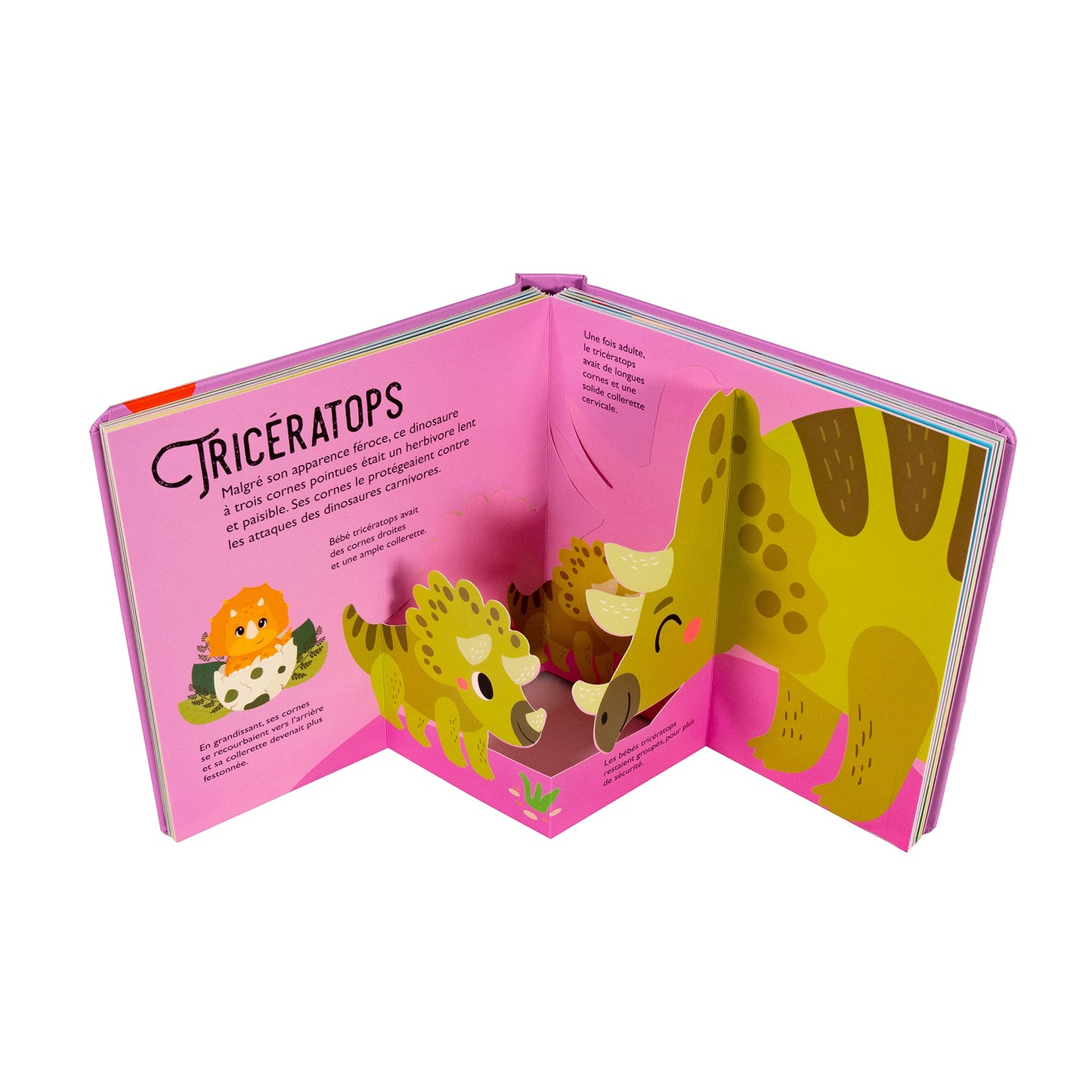 Saisissants pop-up - Bébés dinosaures