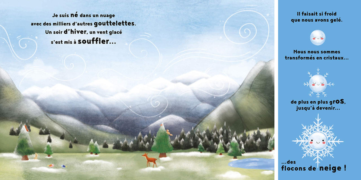 Le flocon de neige
