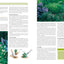 LES PLANTES VIVACES