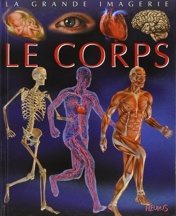 Le corps