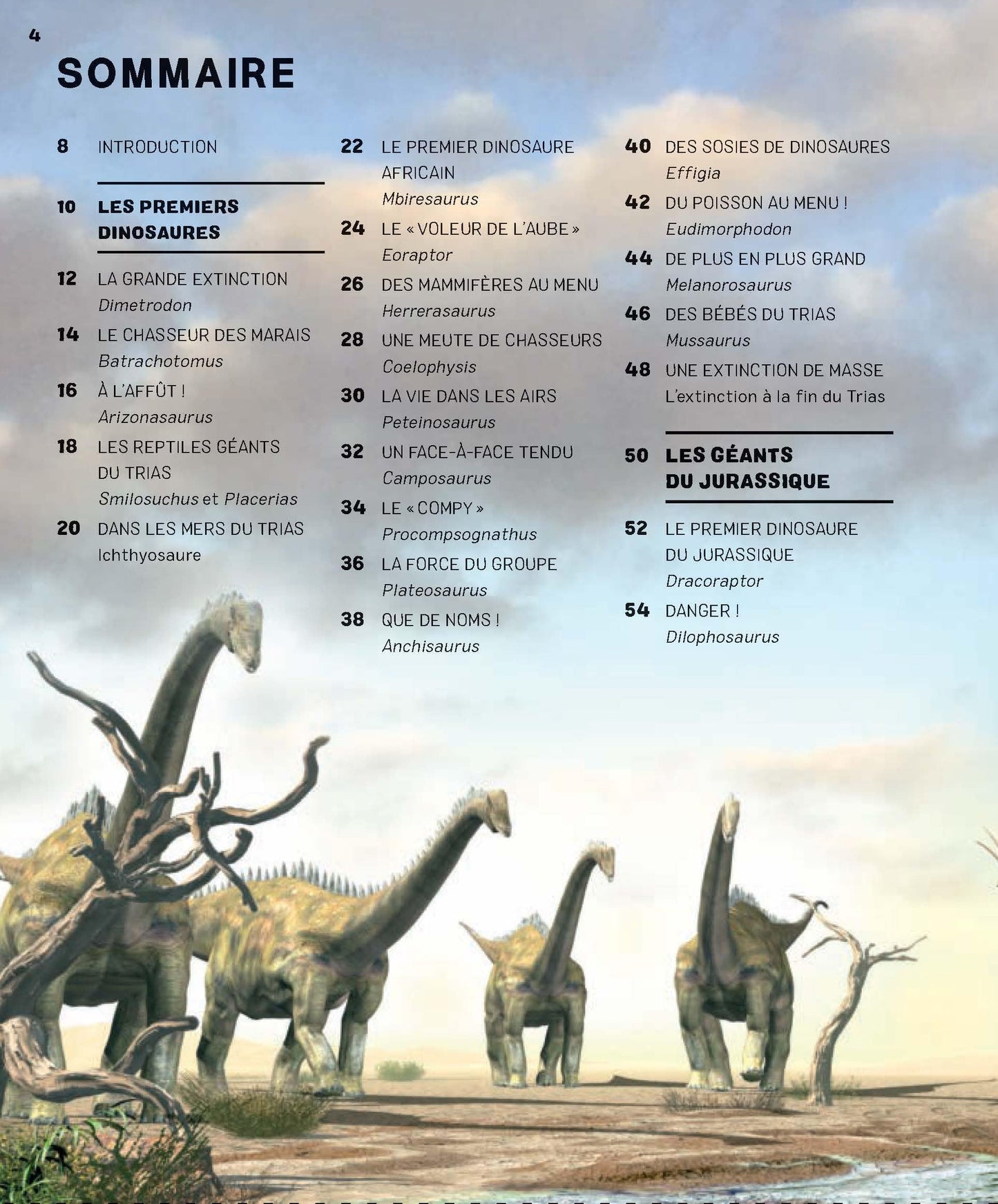 L’incroyable imagerie dinosaures