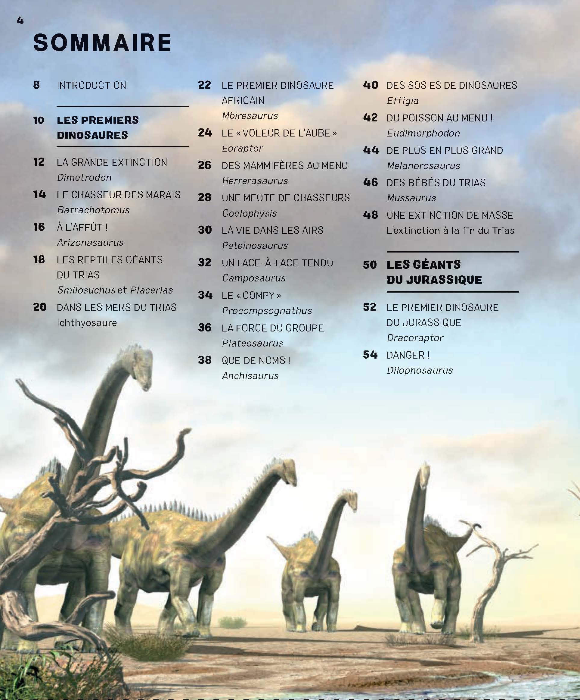 L’incroyable imagerie dinosaures