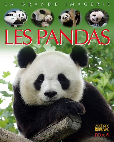 Les pandas