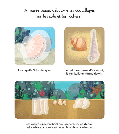 Les animaux de la mer
