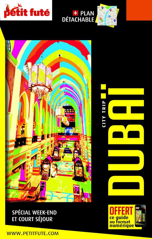 Guide Dubaï 2022-2023 City trip Petit Futé