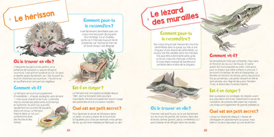 Je découvre les animaux sauvages dans ma ville et j'apprends à les reconnaître
