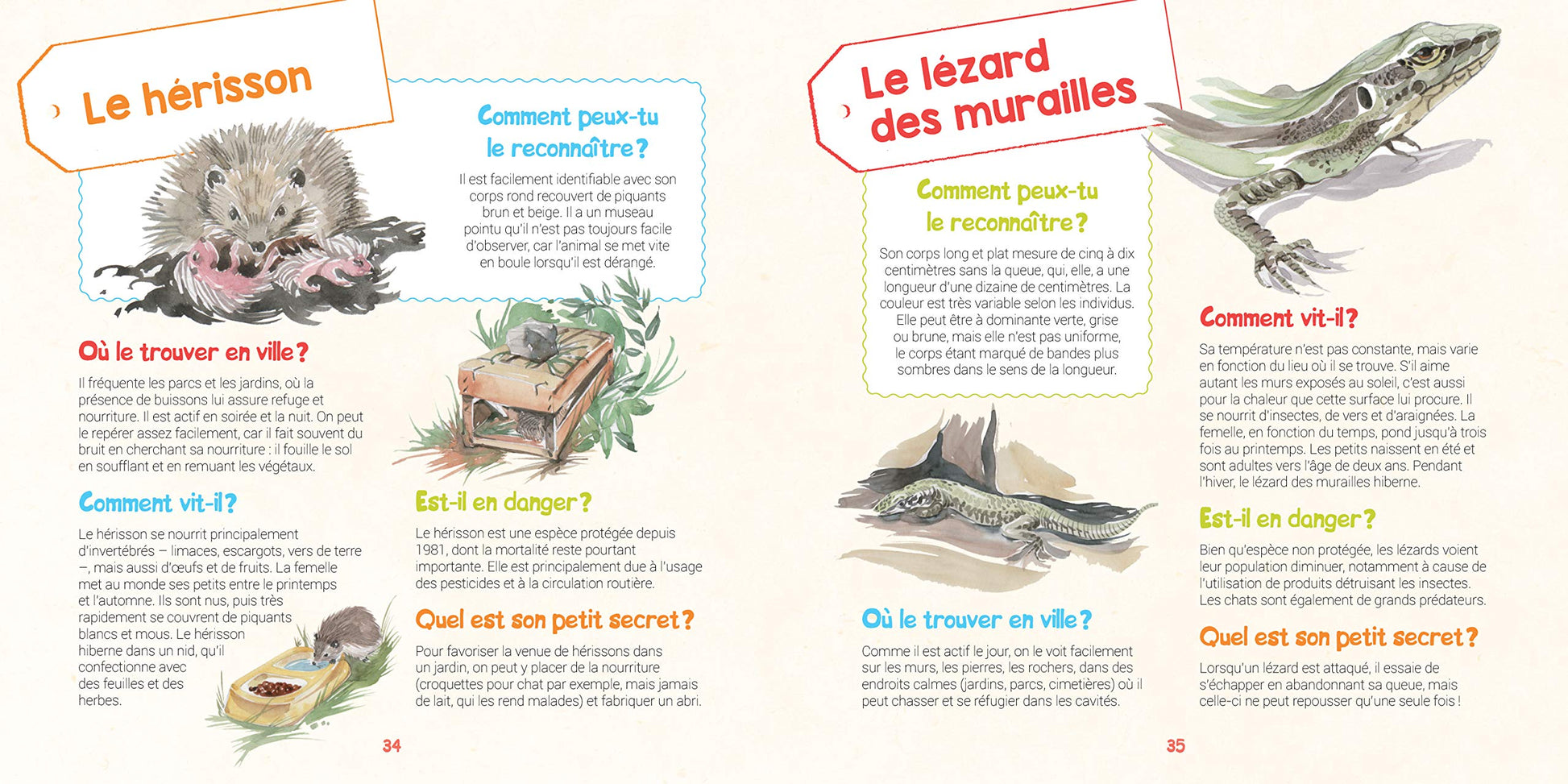 Je découvre les animaux sauvages dans ma ville et j'apprends à les reconnaître