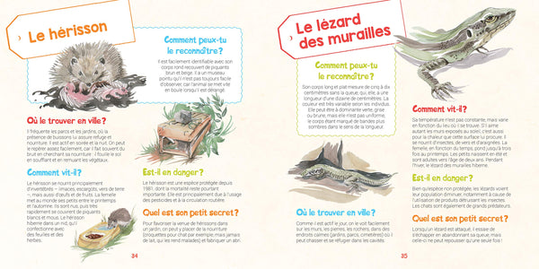 Je découvre les animaux sauvages dans ma ville et j'apprends à les reconnaître