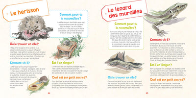 Je découvre les animaux sauvages dans ma ville et j'apprends à les reconnaître