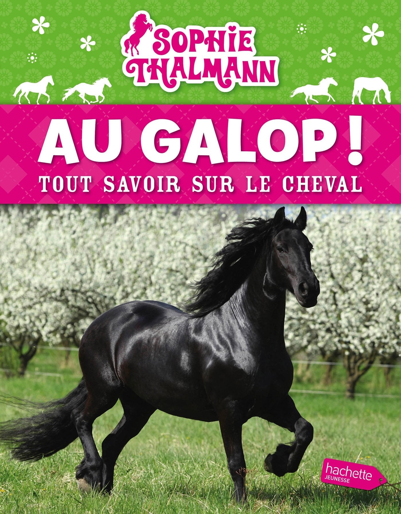 Sophie Thalmann / Au galop (refonte)